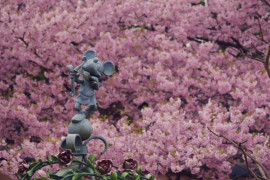 春のおすそ分け