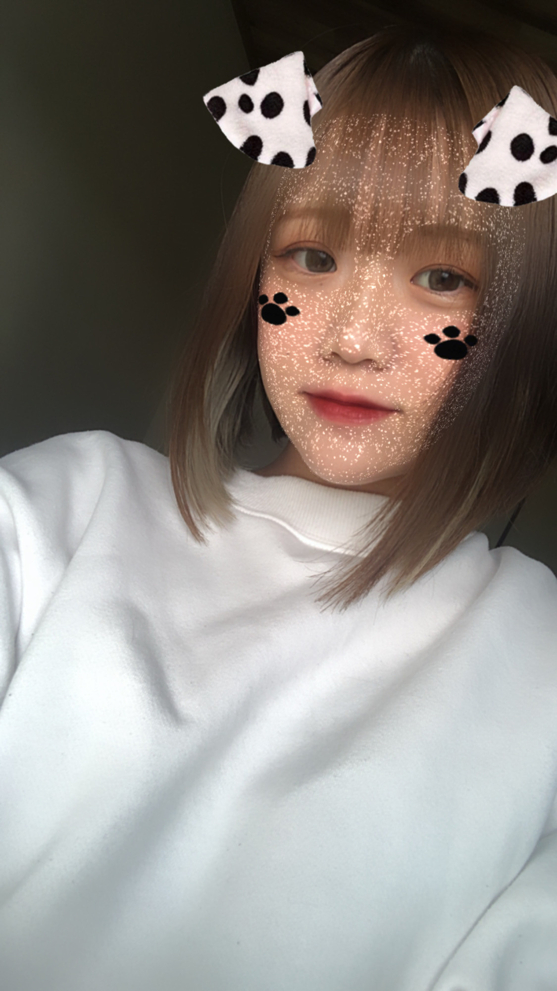 初めてのブログいいねお願いします