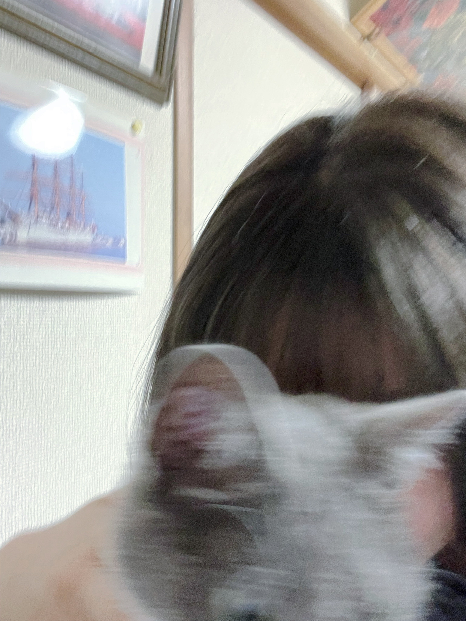 うちのペット^._.^)?