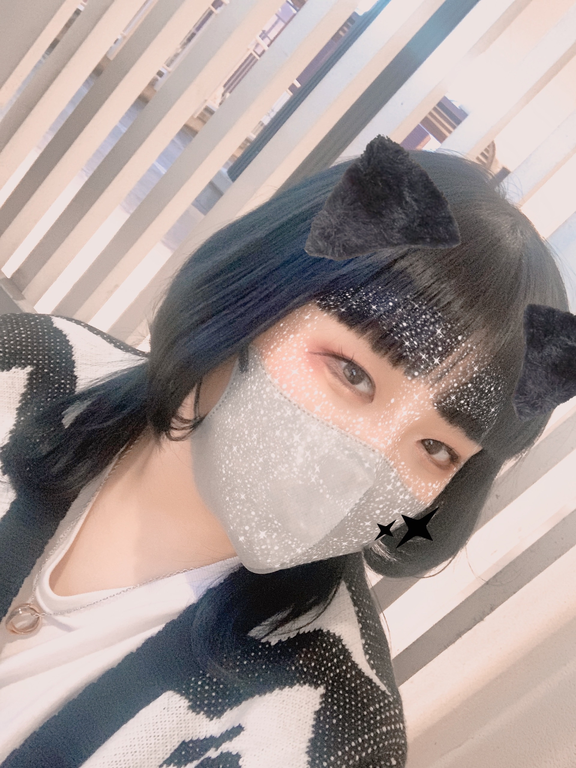 初めまして(=・ω・）ノ
