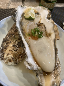初ブログ