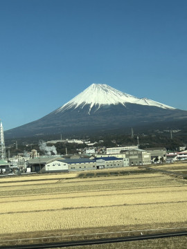 ライブチャット再開しましたああ！