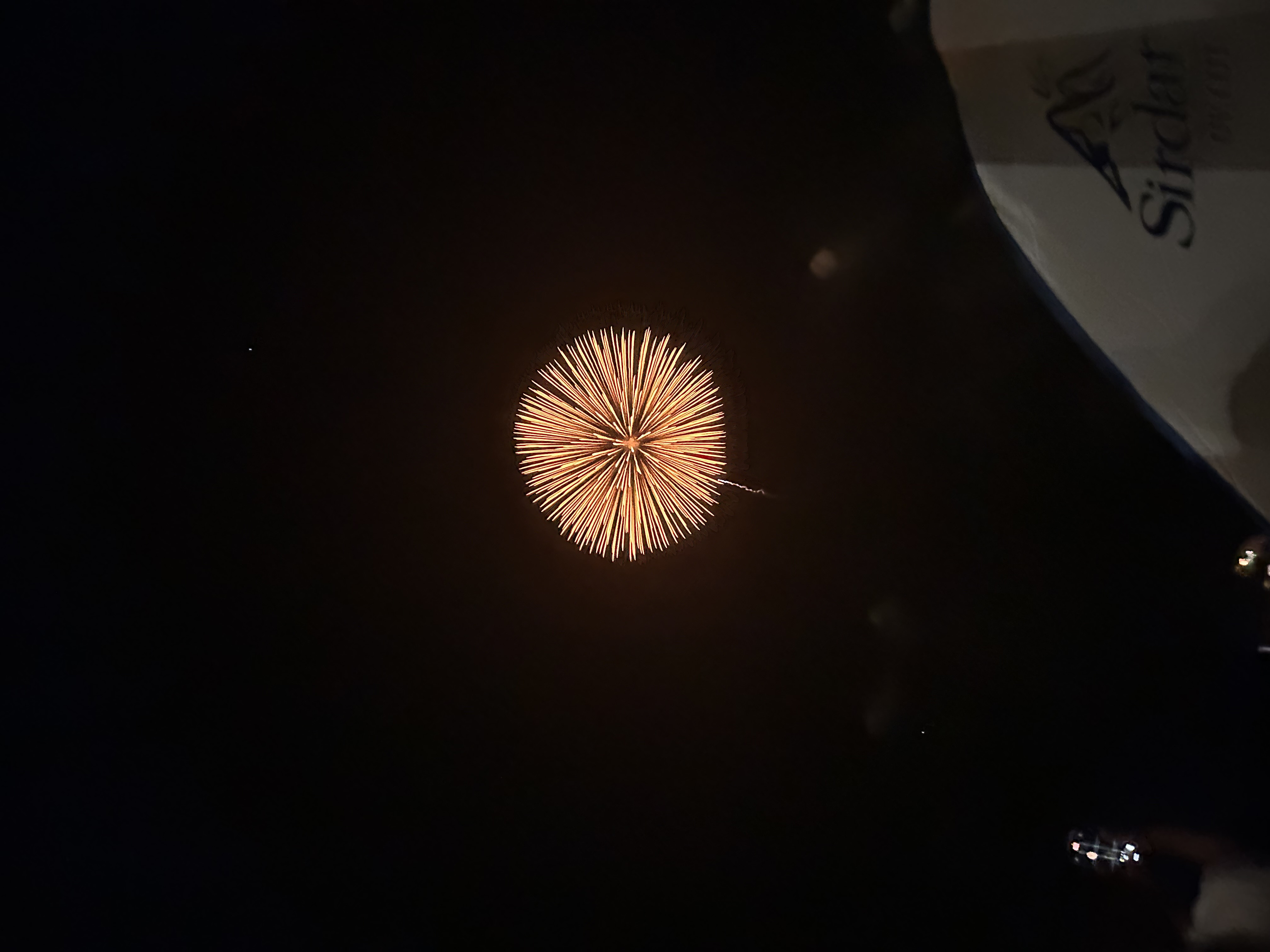 れもんちゃんの2023/8/19 (土) 12:58のブログ