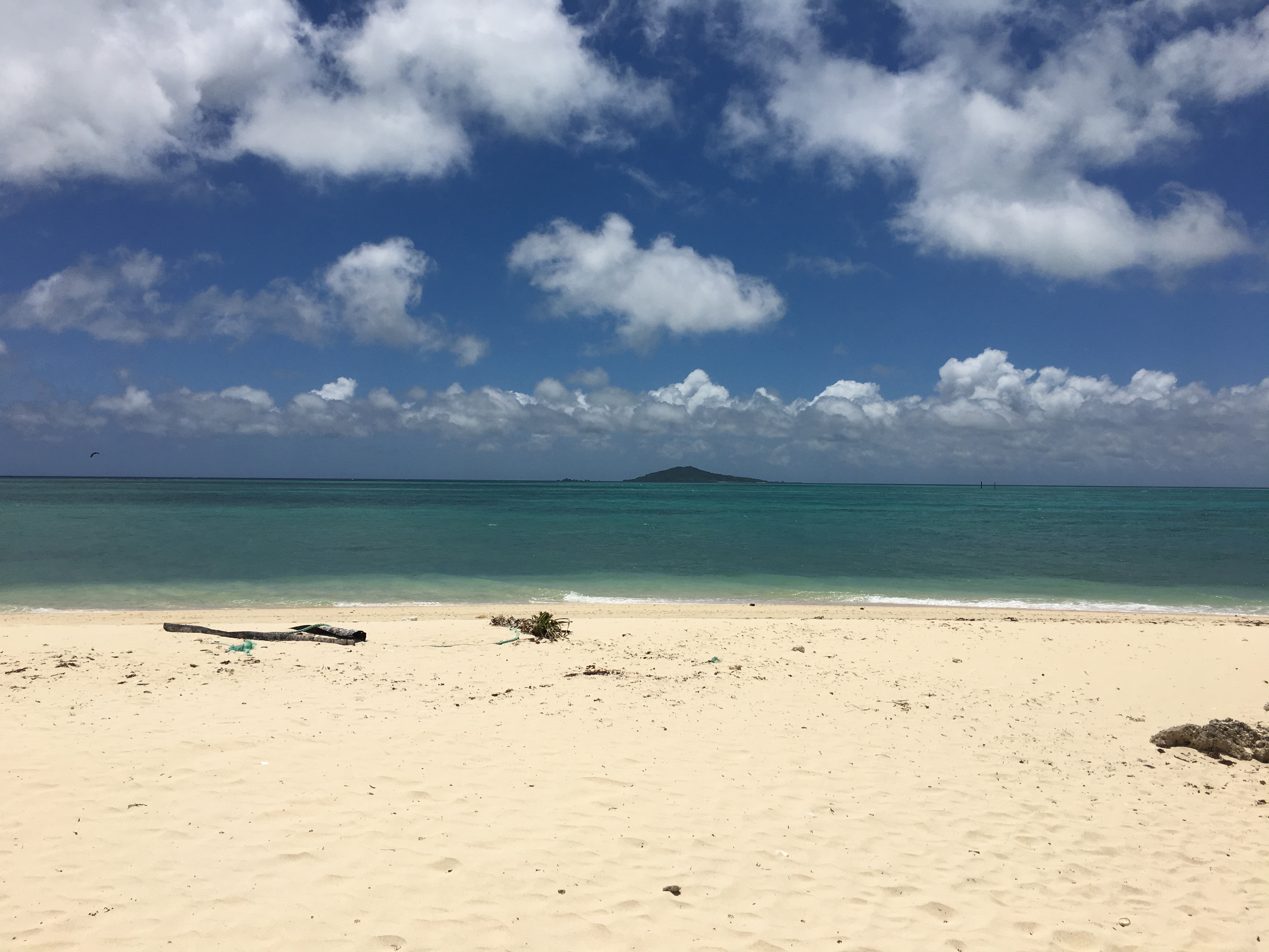 デビューしましたよっ