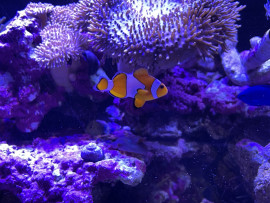 水族館??