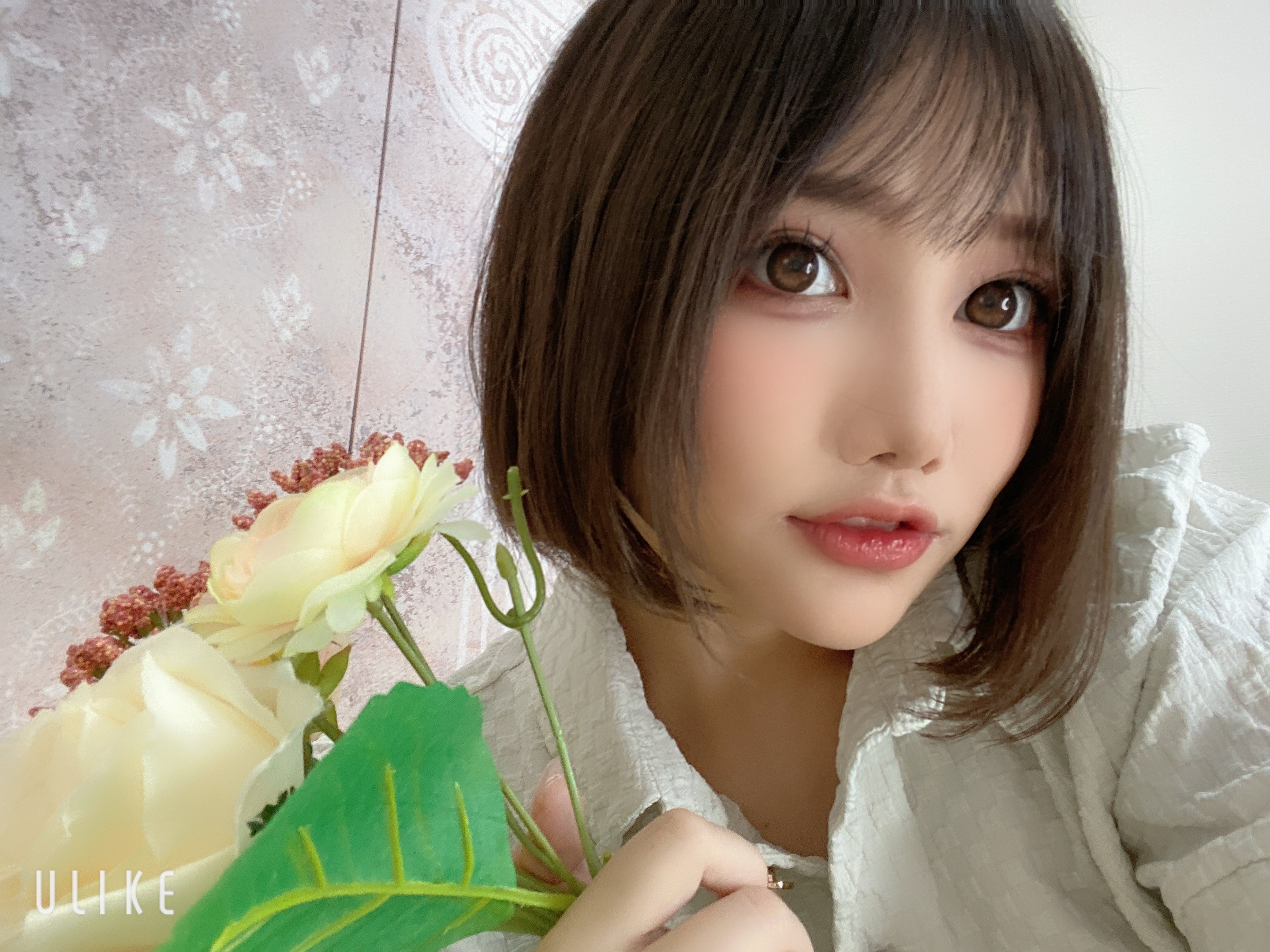 なぎちゃんの2023/4/25 (火) 03:21のブログ