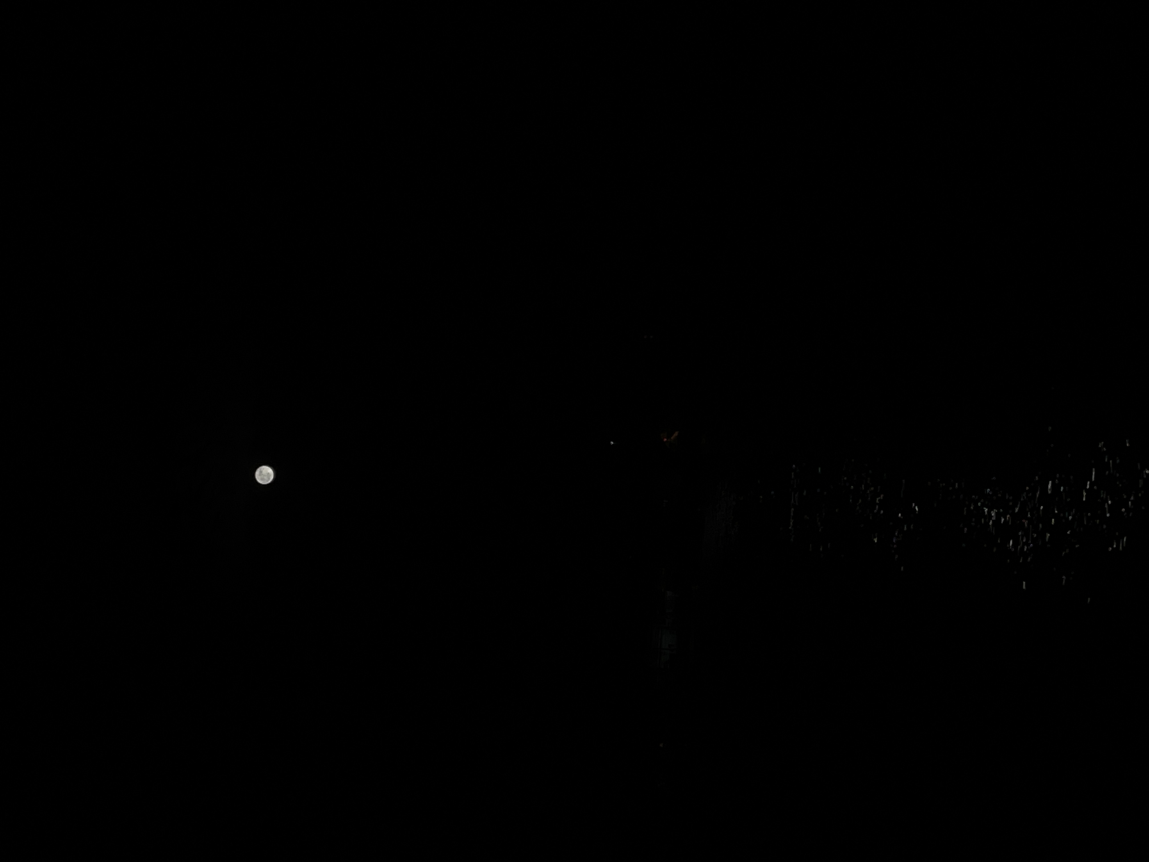 りのんちゃんの2023/6/4 (日) 21:42のブログ
