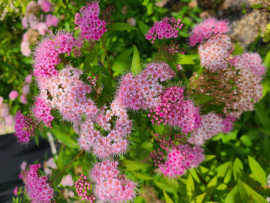 ゆうりちゃんの2023/6/6 (火) 14:58のブログ