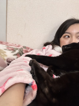 お久しぶり過ぎます