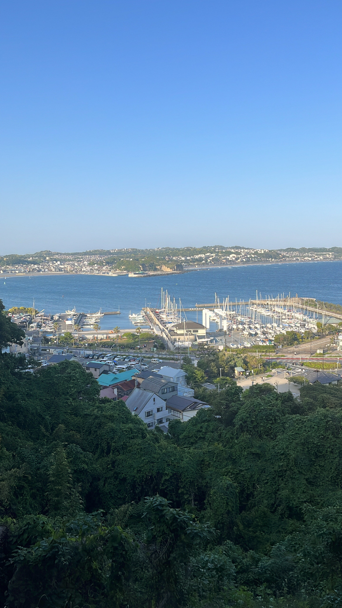 はじめまして