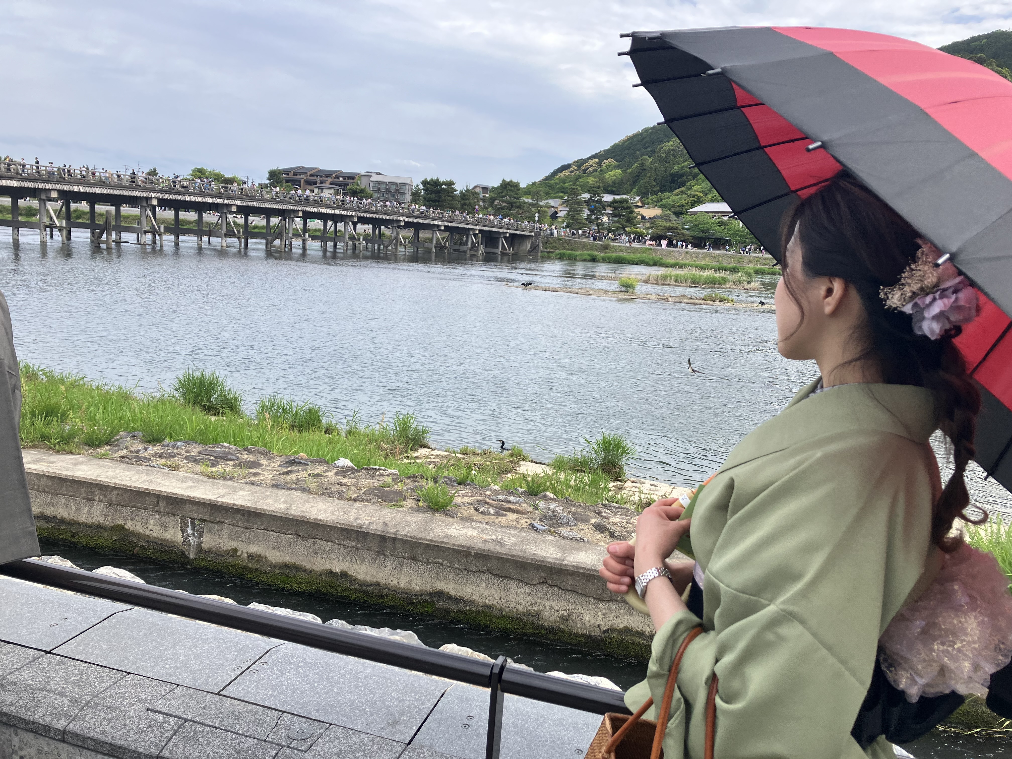 京都においでやす?