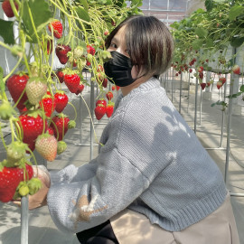 わさびちゃんの2023/5/14 (日) 19:12のブログ