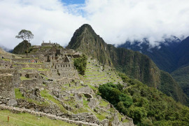 ミキちゃんの2023/5/16 (火) 22:46のブログ