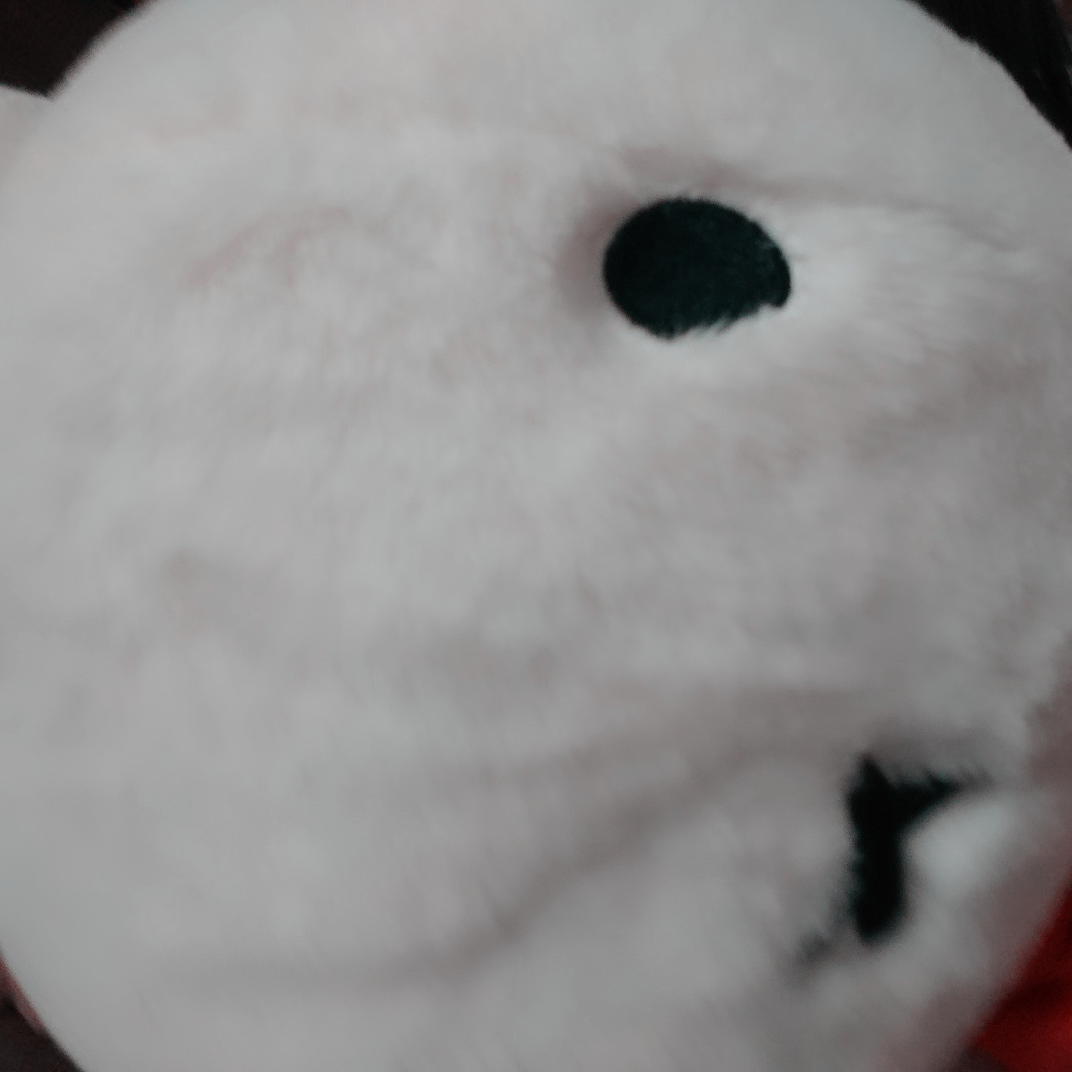 はーんしーんたいがあす