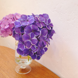 にに🐱ちゃんの2023/6/2 (金) 13:18のブログ