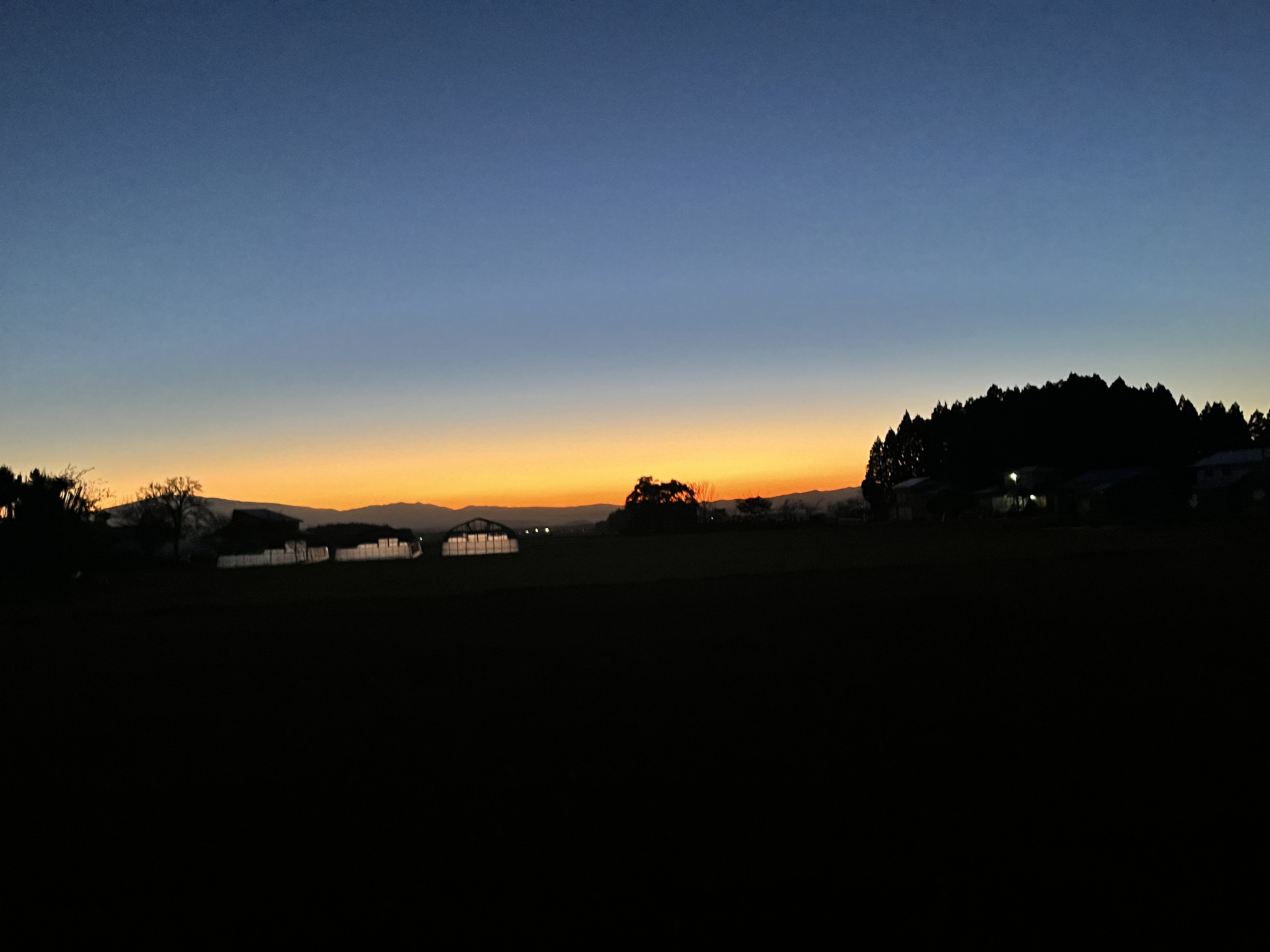 みなさんお久しぶり〜！！