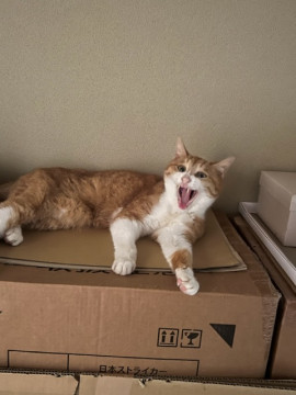 めだまちゃんの2023/5/22 (月) 09:27のブログ