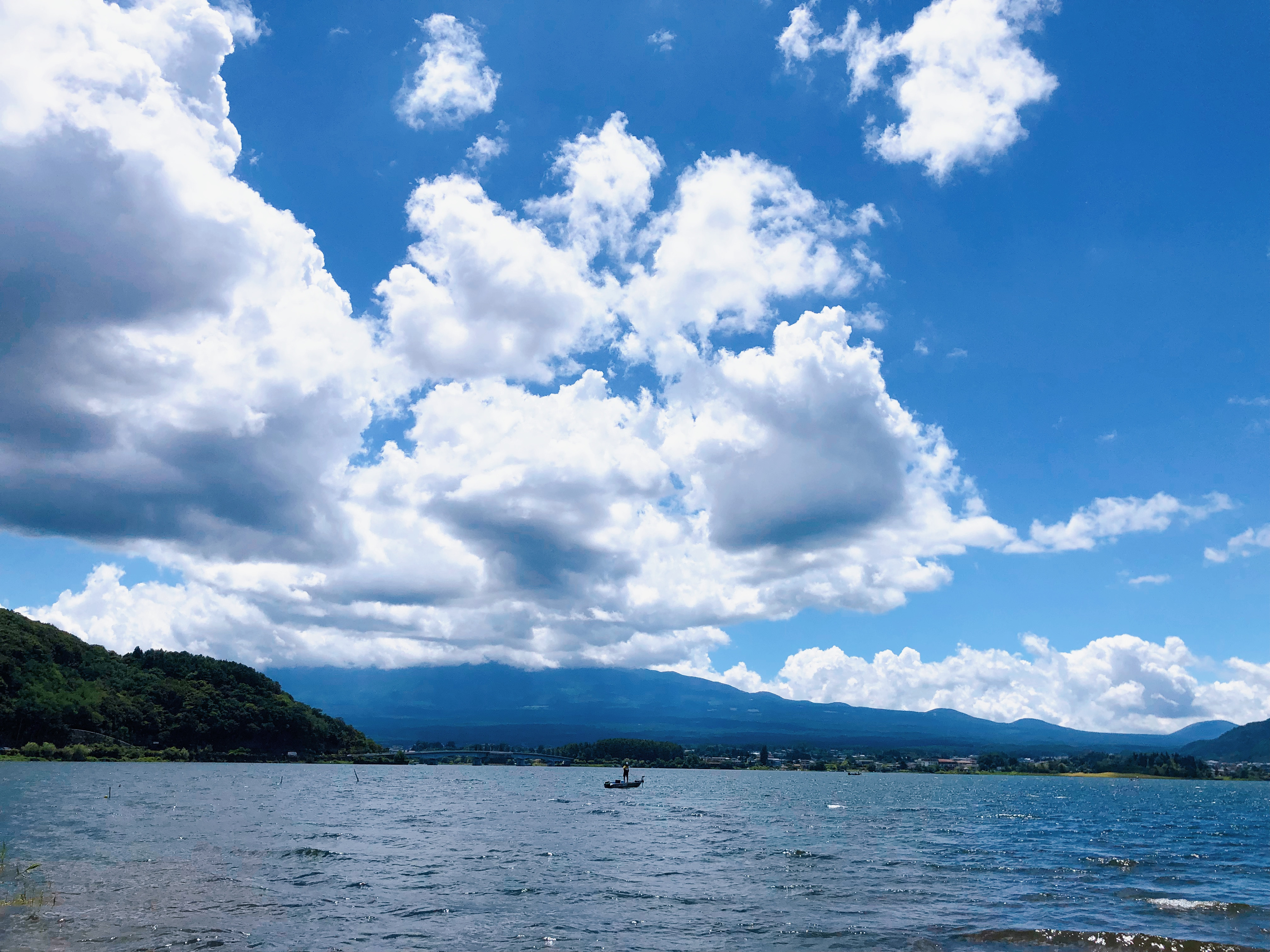 術後、検査結果報告