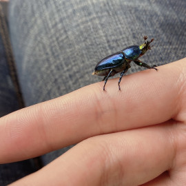 かおりちゃんの2023/6/17 (土) 20:59のブログ