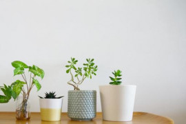 ななちゃんの2025/3/23 (日) 17:59のブログ