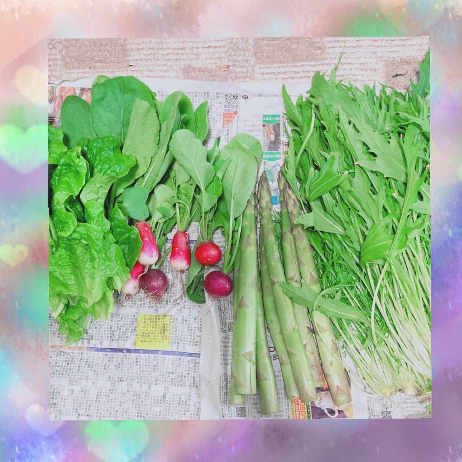 農家の手伝い！