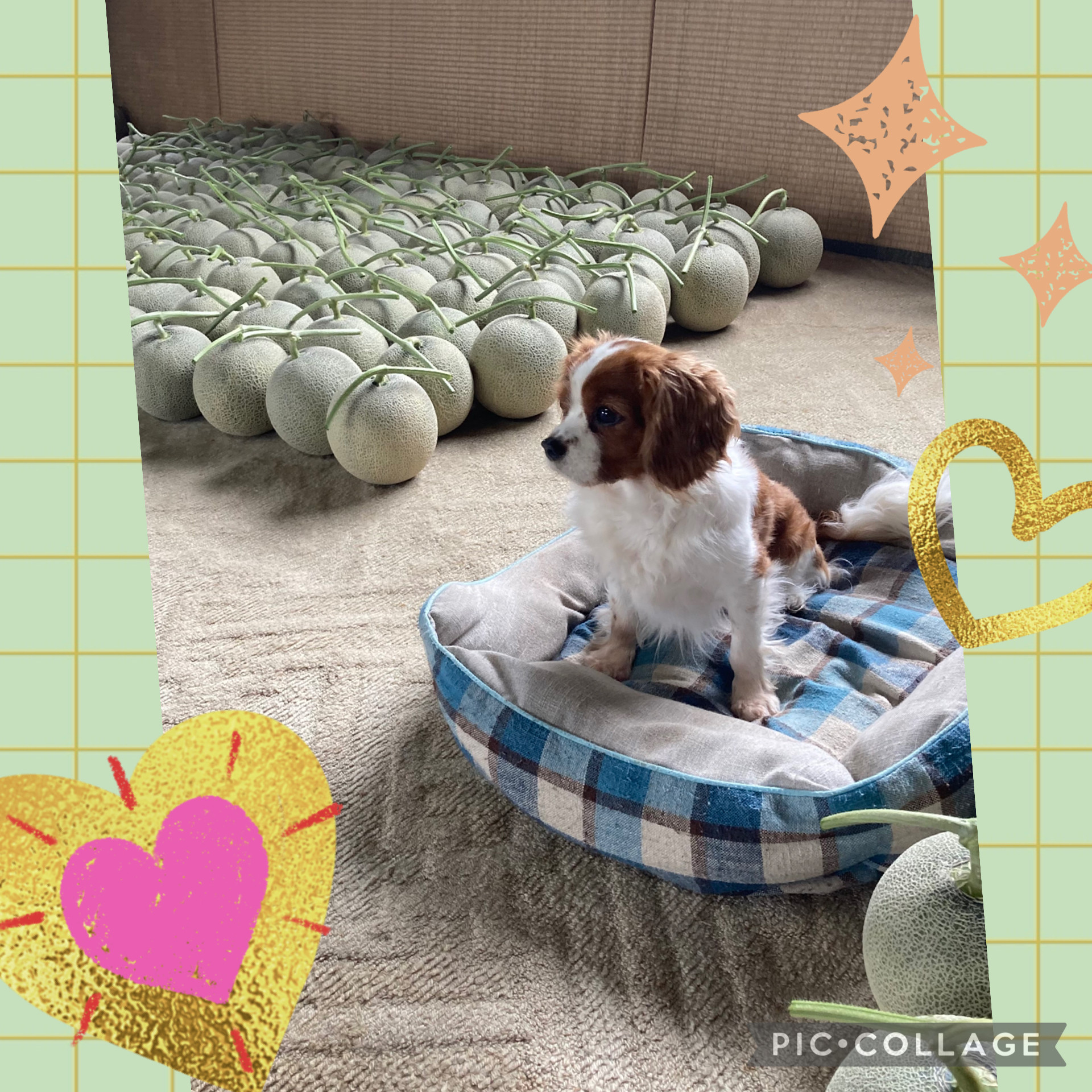 のぞみ⭐︎ちゃんの9/24 (木) 12:53のブログ