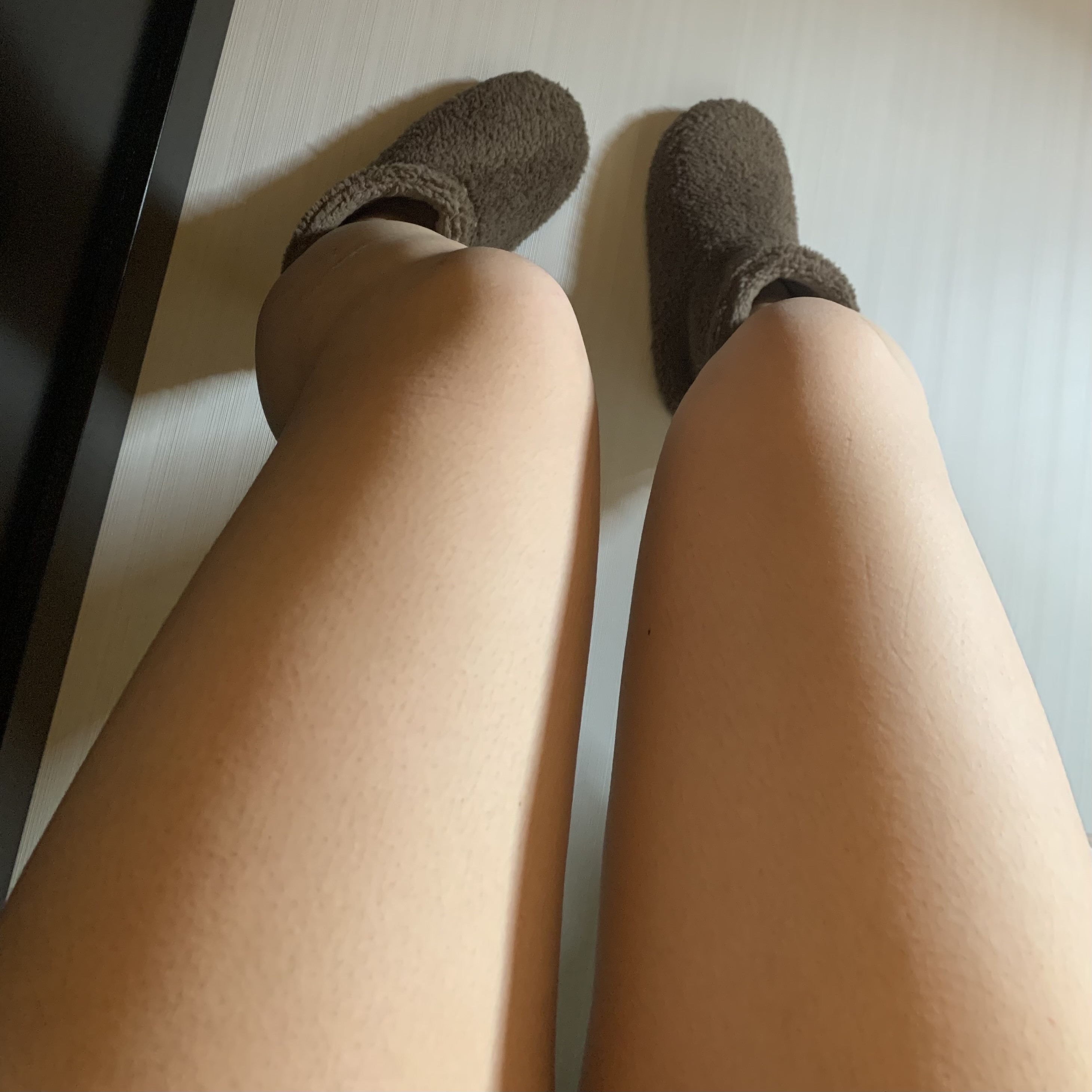 今日の予定…?
