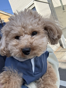 あき☆ちゃんの今日 01:08のブログ