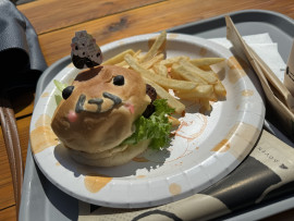 アドベンチャーワールドに行ってきました