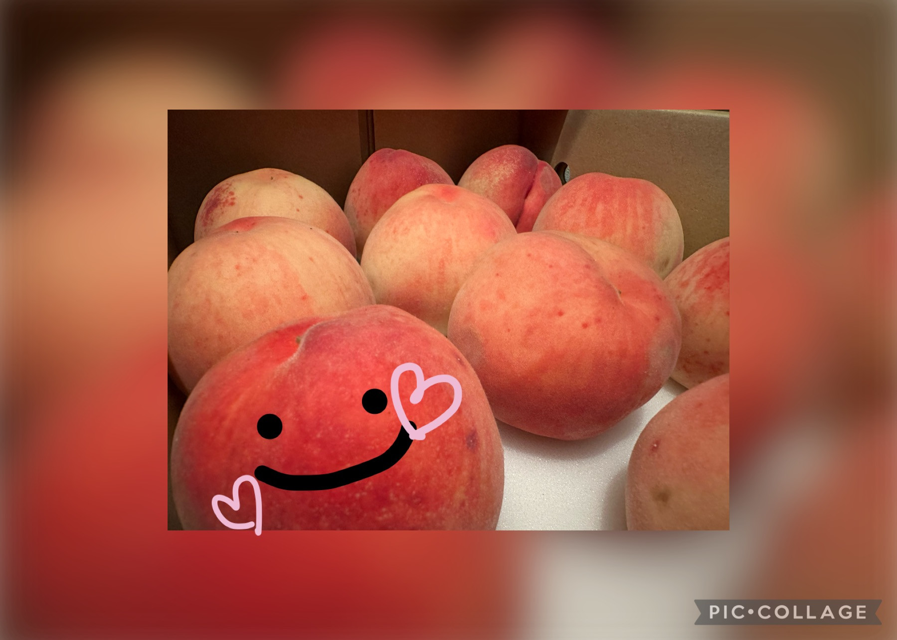 桃の使った料理やデザート思いつかない?