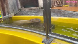 こっつんちゃんの2023/8/4 (金) 00:55のブログ