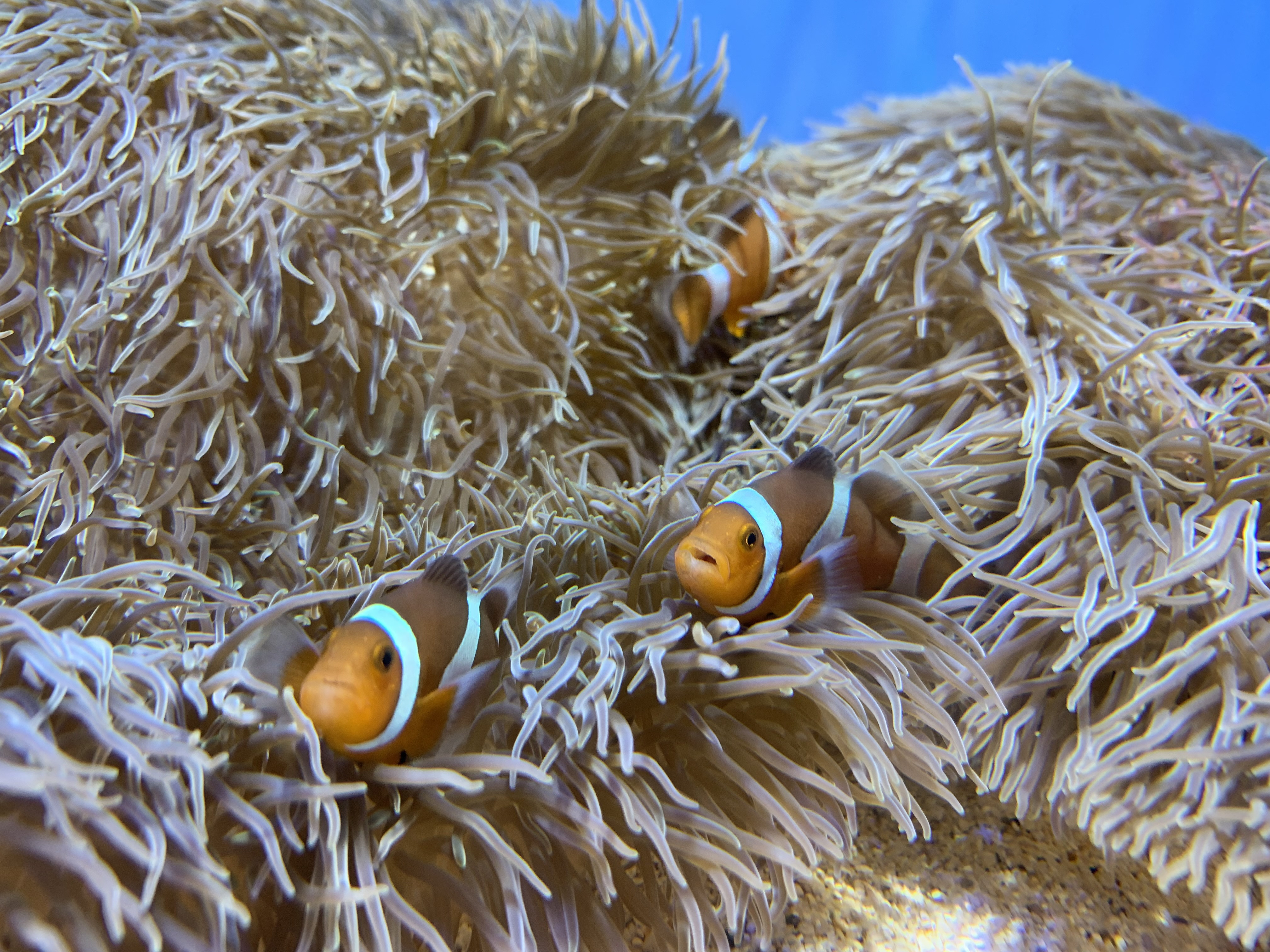 はじめまして！?????