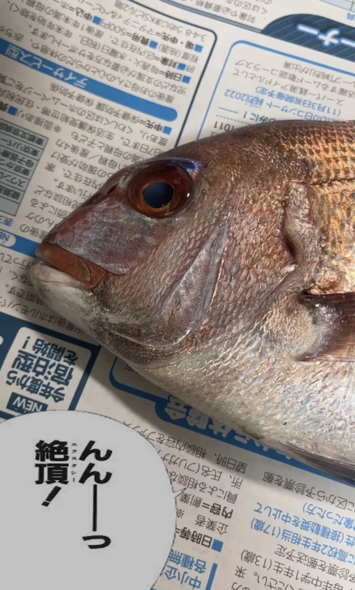 葵ちゃんの2023/8/3 (木) 09:18のブログ