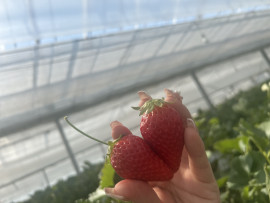 お久しぶりです♪