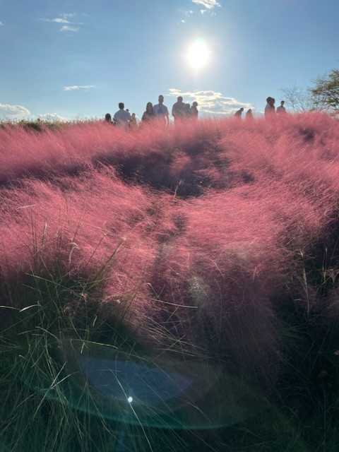 お疲れ様です。