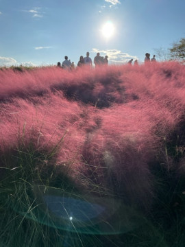 お疲れ様です。