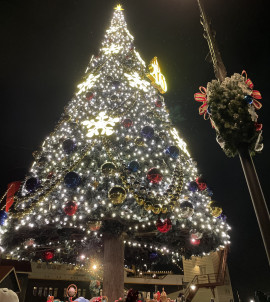 ディズニー行ってきました！