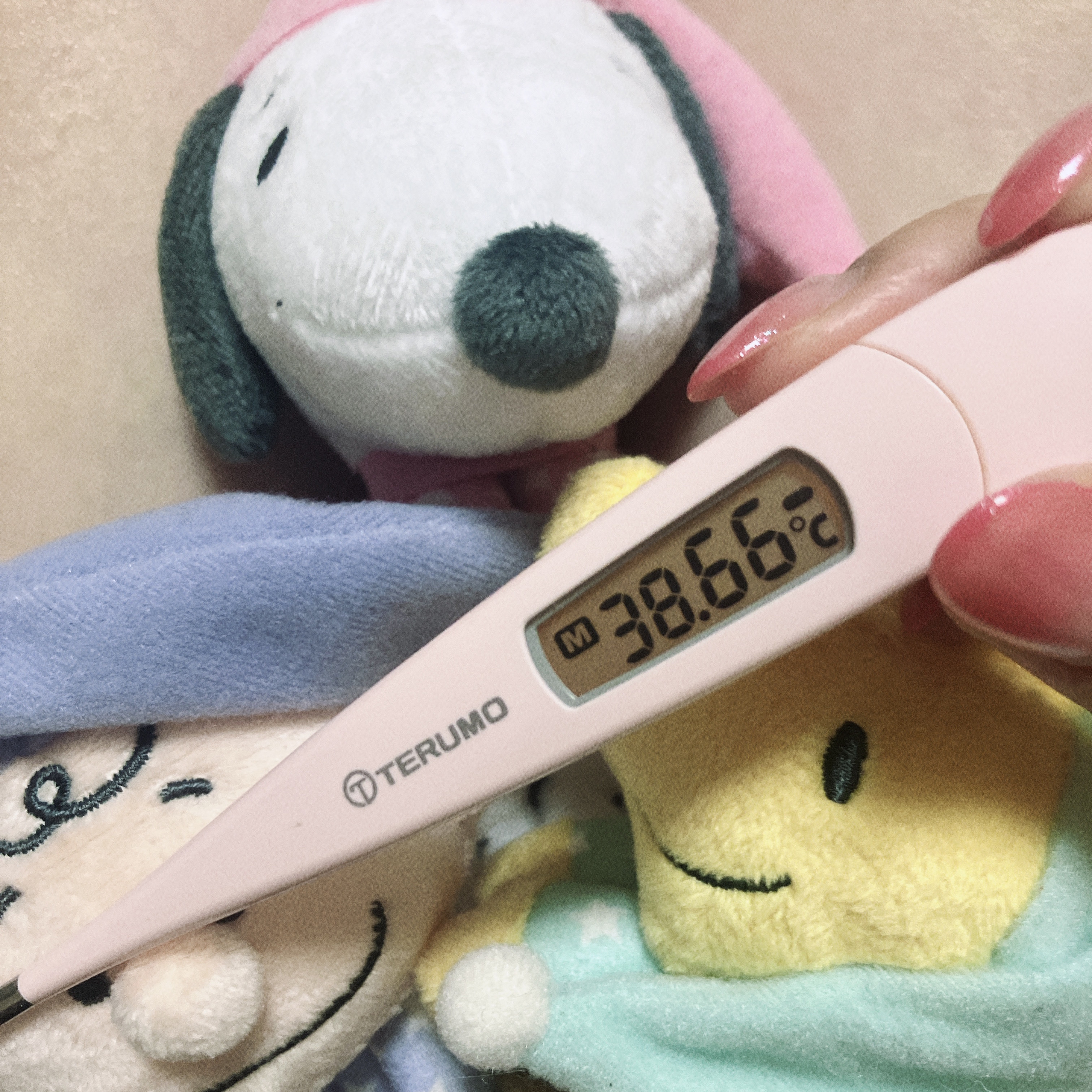 たまちゃんの2023/9/4 (月) 03:54のブログ