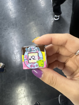 チョコ(・ε-。)⌒☆