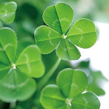 彼と別れたけど楽しく生きるぞ?