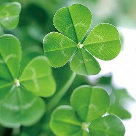 yuiちゃんの11/25 (火) 13:35のブログ