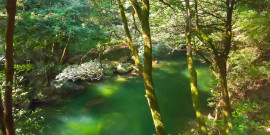 気まぐれブログ