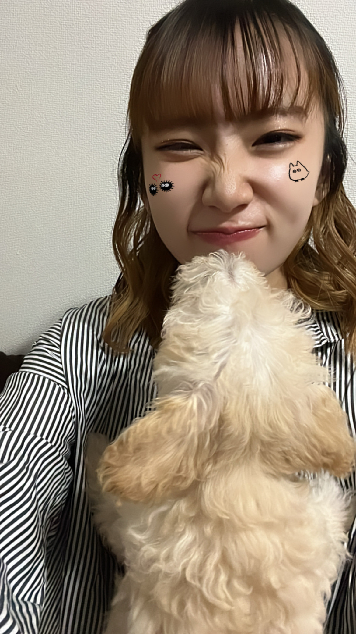 愛犬