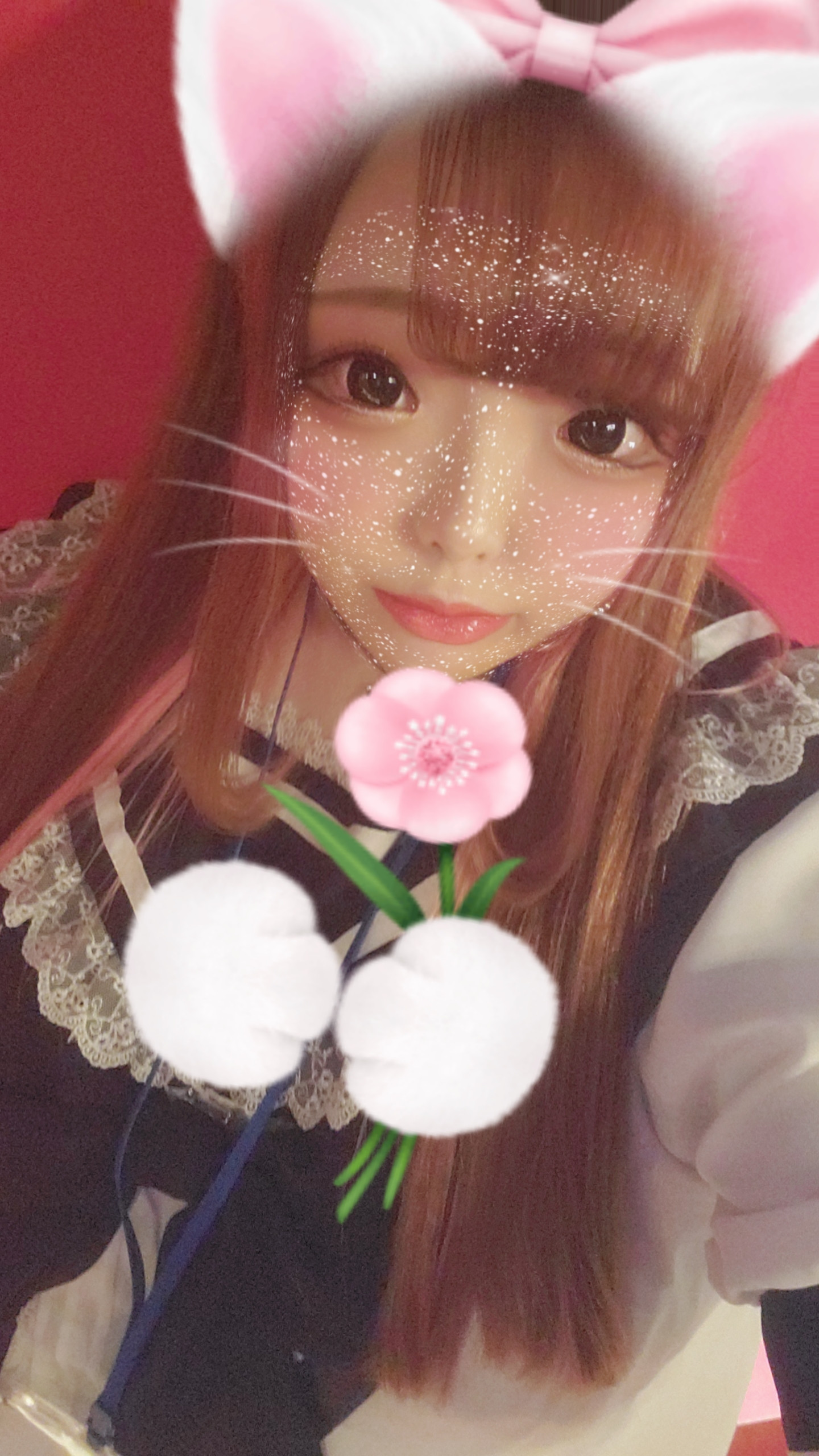 めるちゃんの2023/10/17 (火) 01:45のブログ