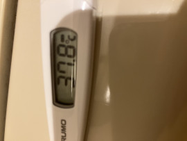 発熱