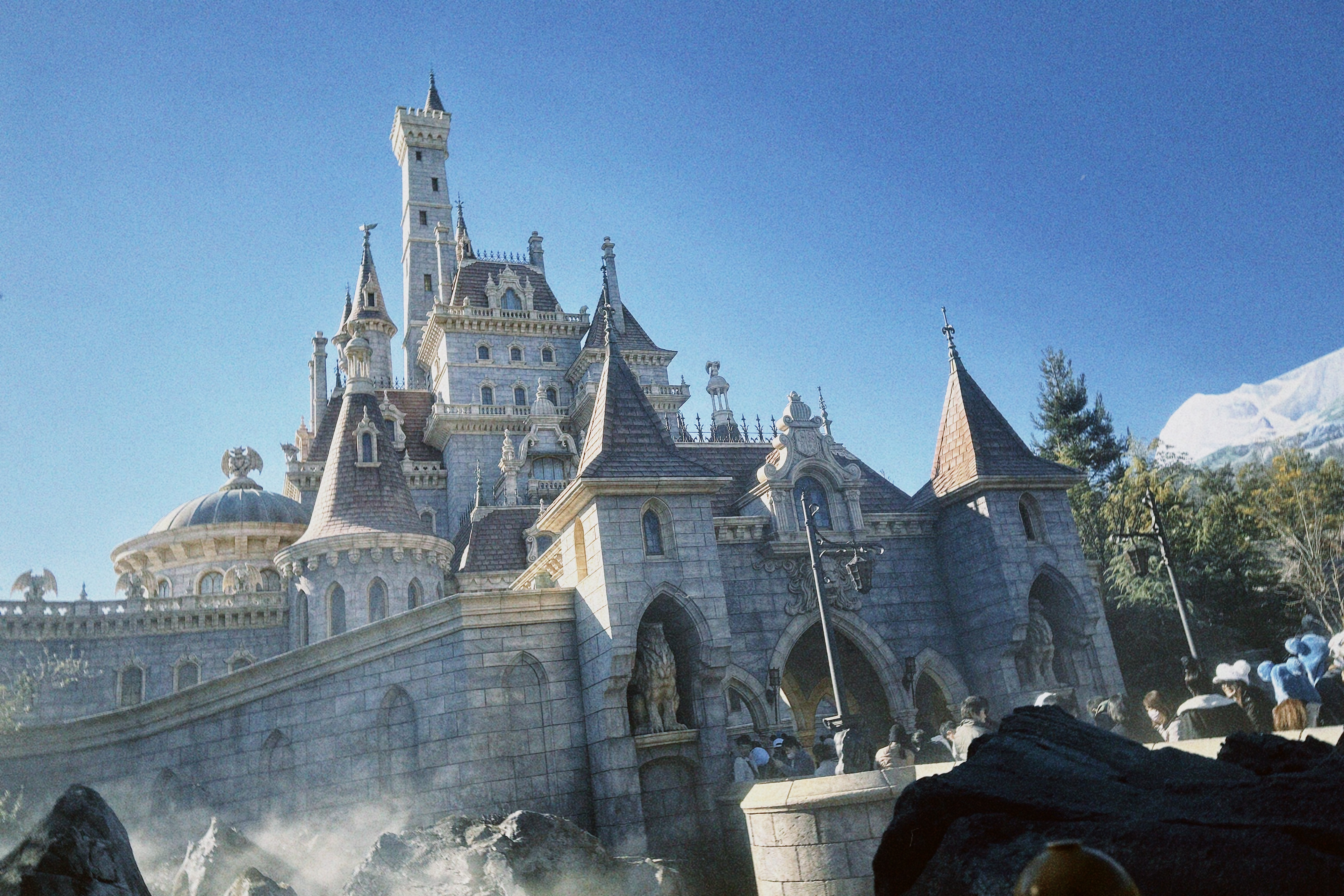 久しぶりのディズニーランド