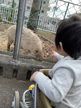 お出かけ???