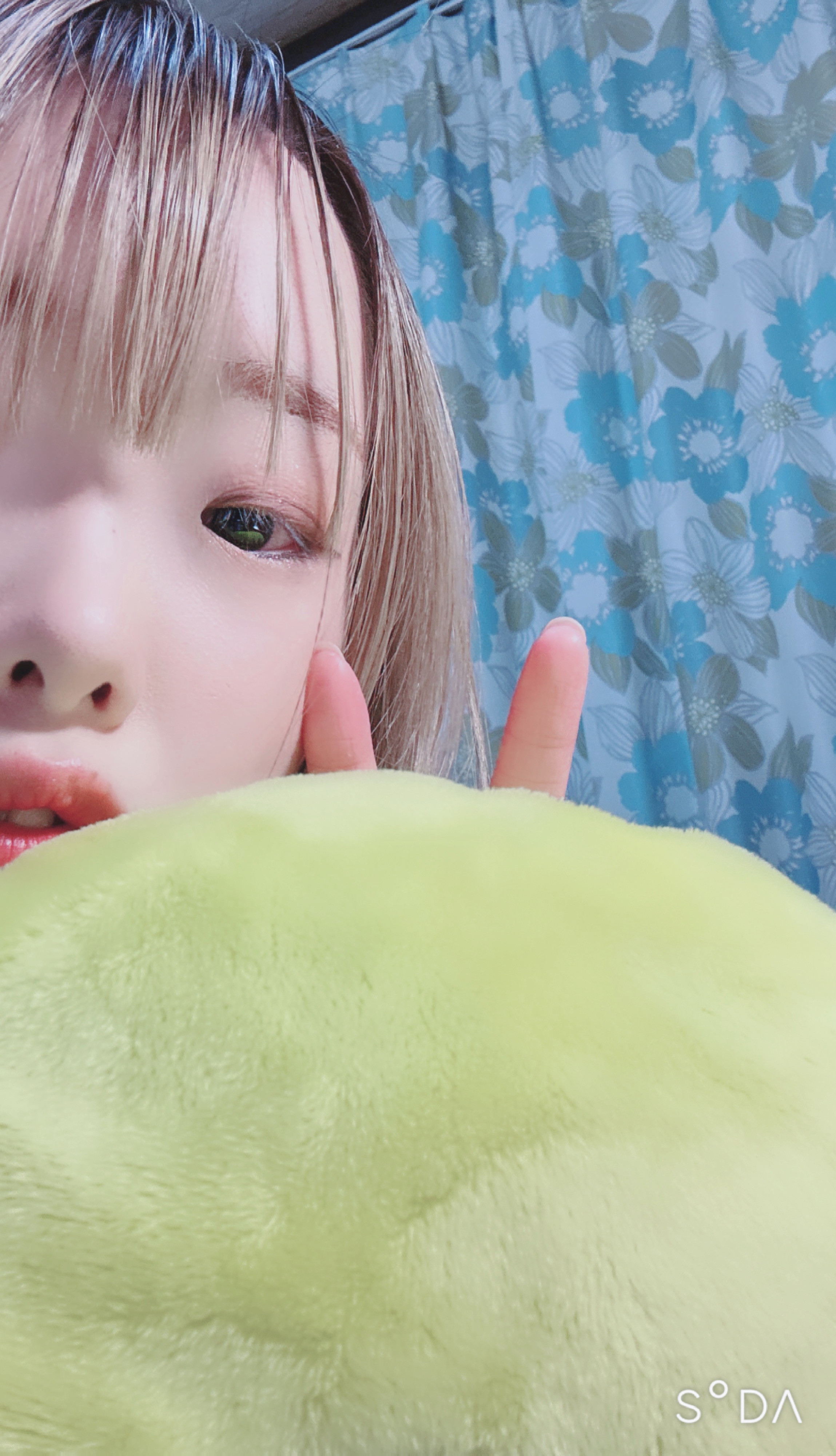 ここちゃんの2023/11/30 (木) 02:50のブログ