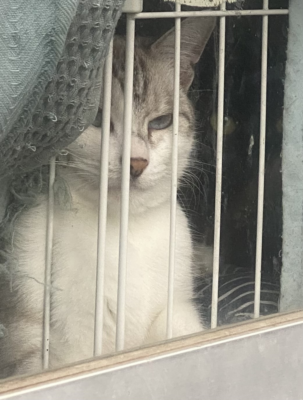 ??
