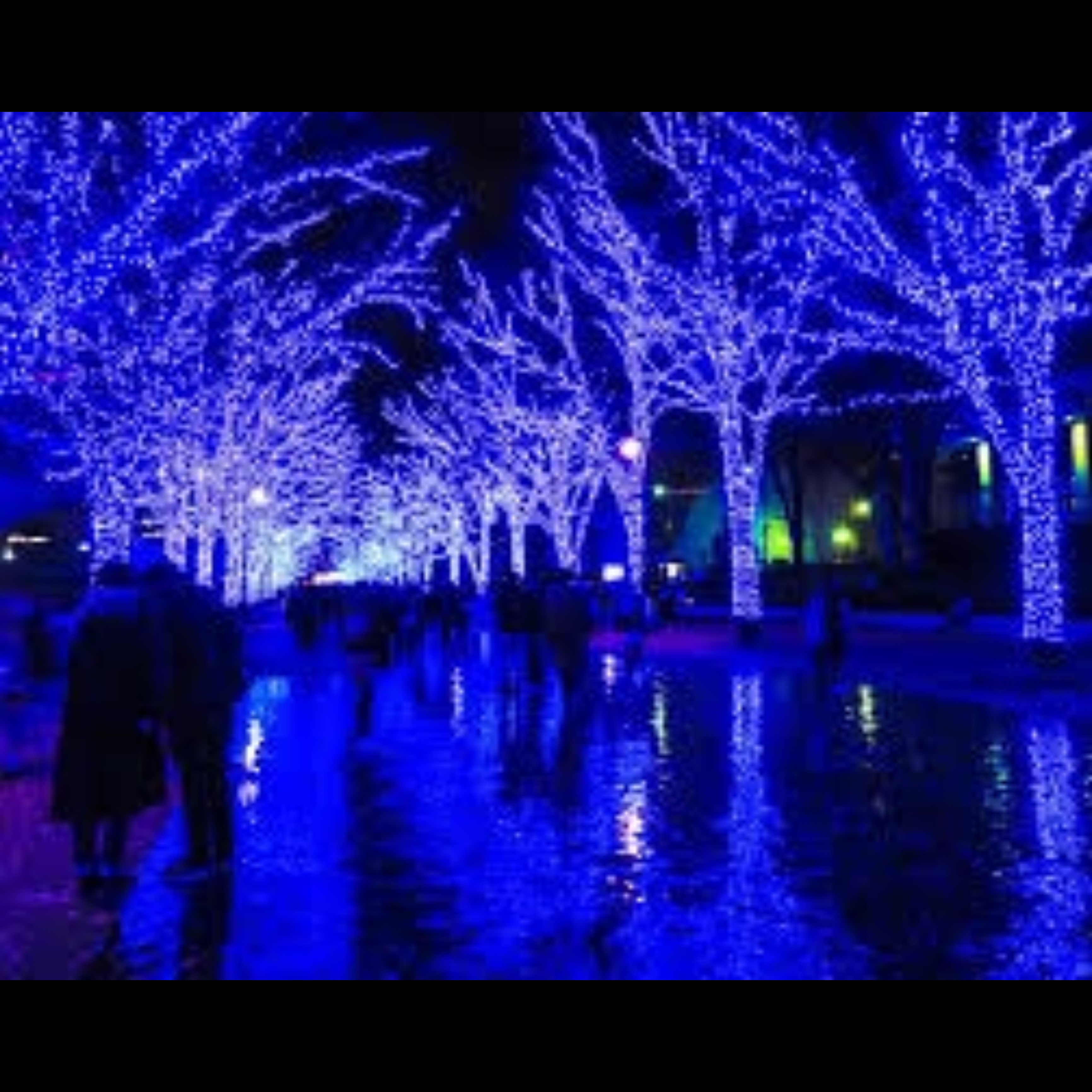 ももちゃんの2023/12/16 (土) 23:41のブログ